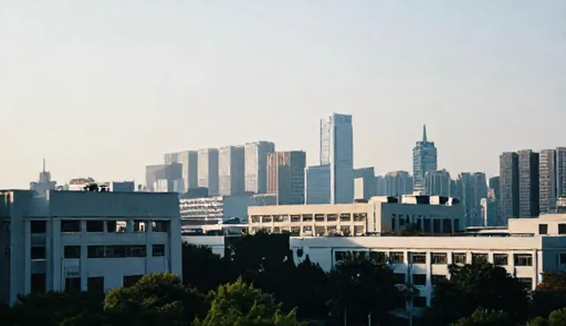 系统集成应用开发中的选型与维护建议